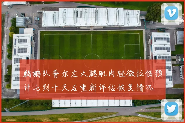 鹈鹕队普尔左大腿肌肉轻微拉伤预计七到十天后重新评估恢复情况
